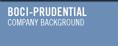 Company Background Header Text